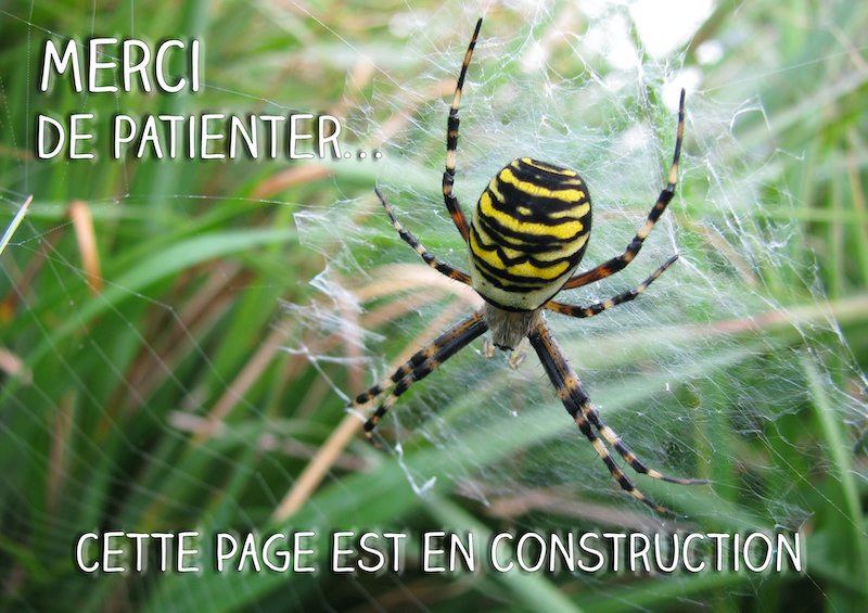 Page-en-construction